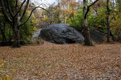 Autumn In Central Central Park 112.jpg