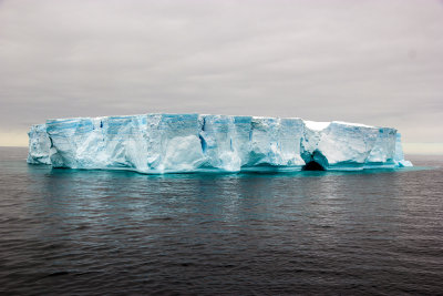 Tabular Iceberg in Bransfield Strait, Antarctica