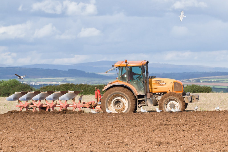 Week 40 - Ploughing at East Soar Farm 2.jpg
