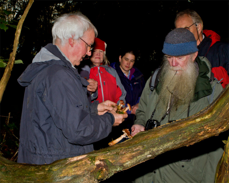 Week 43 - Fungi Hunting at Andrews Wood.jpg
