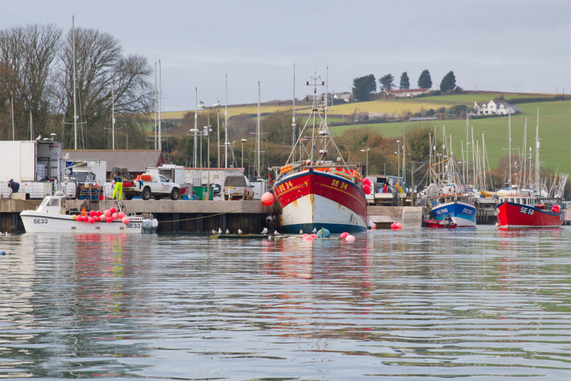 Week 47 - More from the Fish Quay 2.jpg