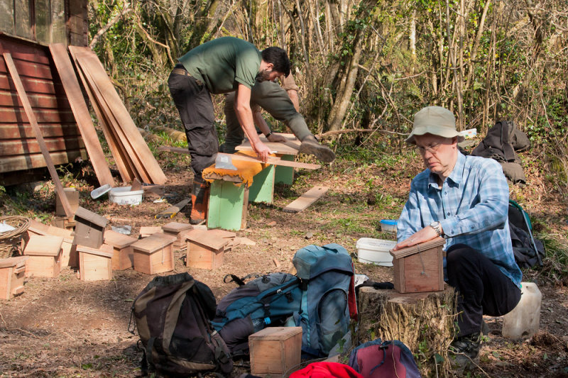 Week 12 - Deep in the woods making Dormice houses 2.jpg