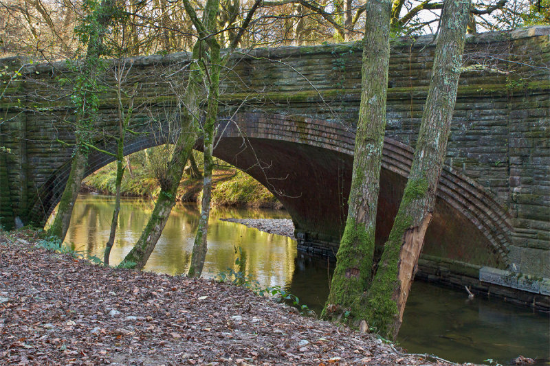 Week 46 - Looking under the bridge.jpg