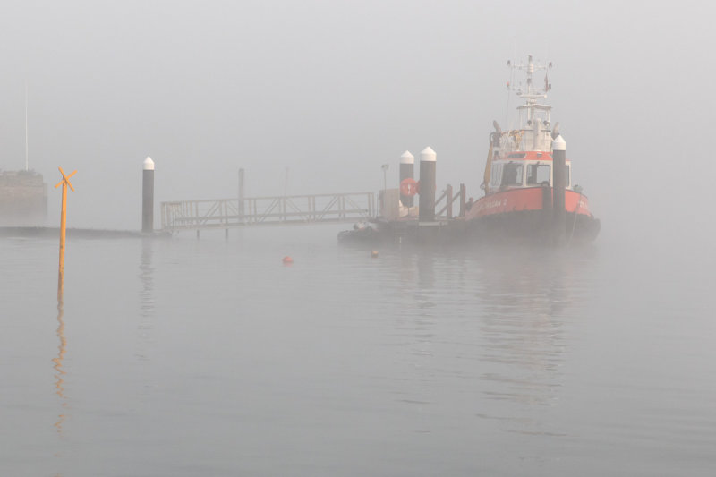 Week 48 - Foggy Morning at Whitestrand 2.jpg