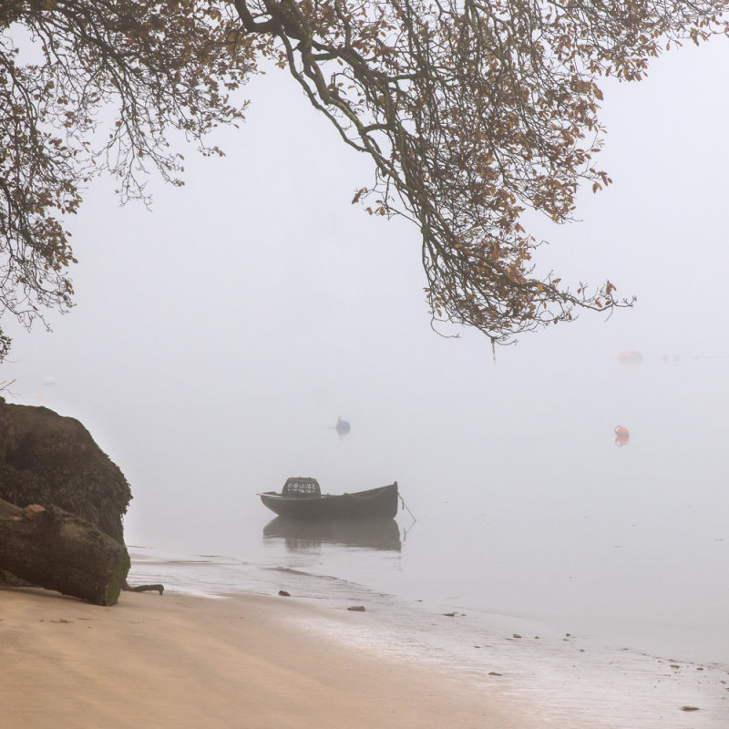 Foggy Morning at Ditch End.jpg