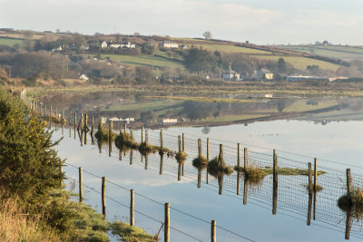 Week 51 - South Efford Marsh at Aveton Gifford.jpg