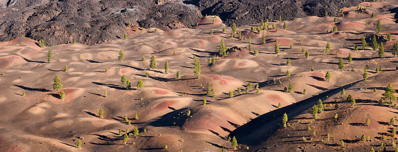 Painted Dunes.jpg