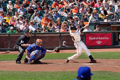  Buster Posey 