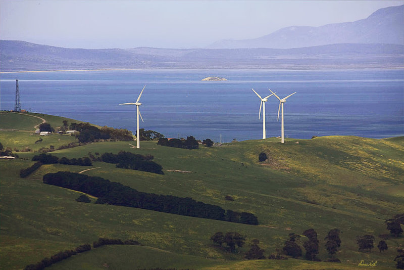 Toora Wind Farm