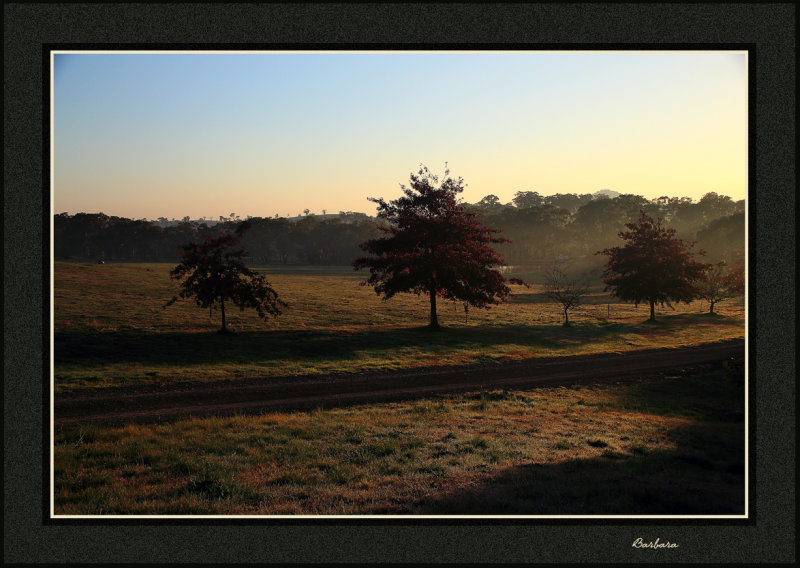 Misty morning Kilmore