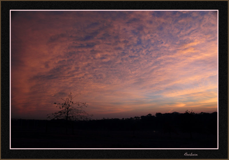 The changing colour of sunrise