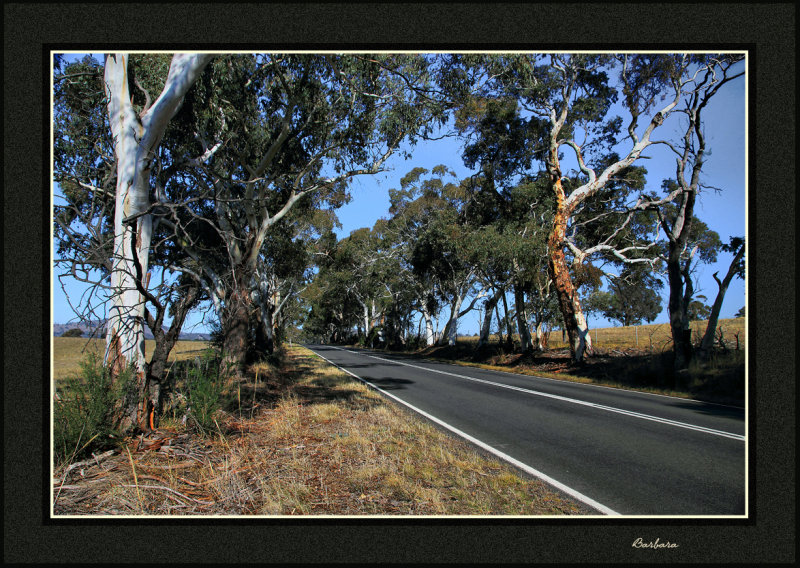 Country Road