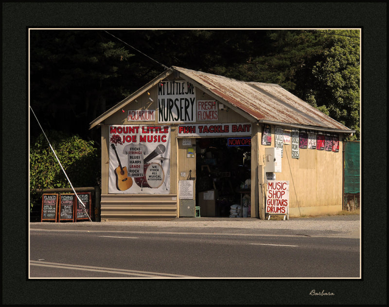 Mt.  Little Joe nursery and music store
