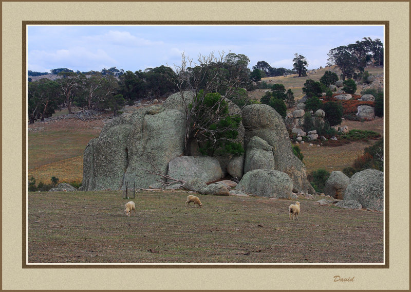 Boulder Lanscape 