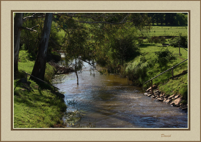 Woori Yallock creek.