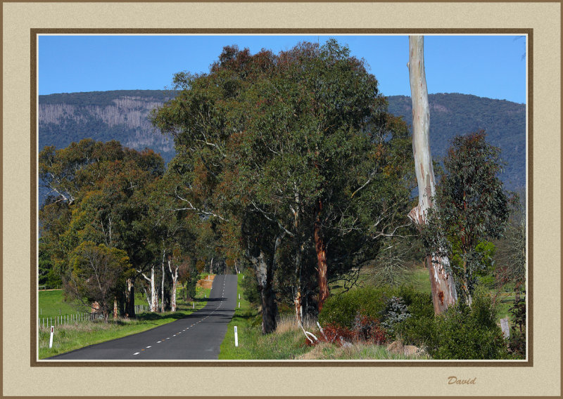 Road to The Cathedral Range