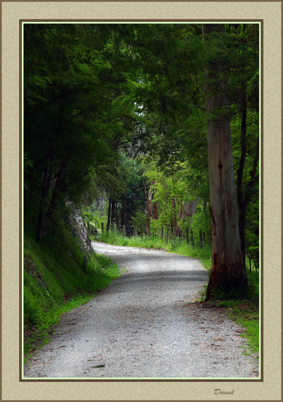 Warburton Trail