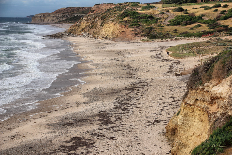 Port Willunga Beach