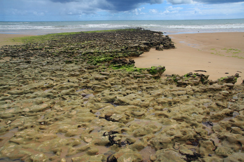  Bedrock outcrop