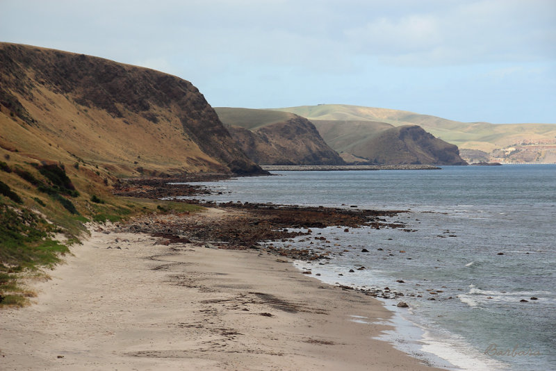 Lady Bay