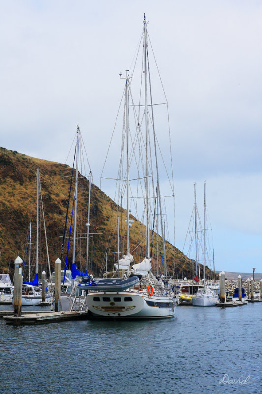 Wirrina Cove