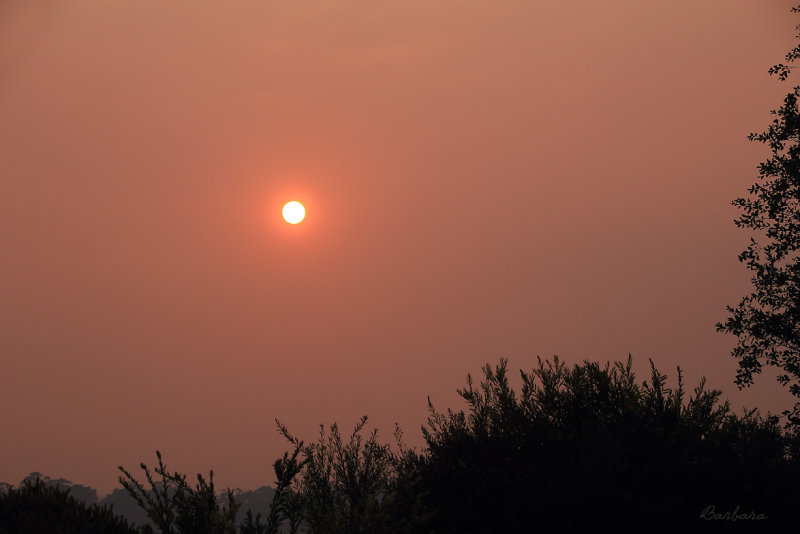 Smoke from Bushfires