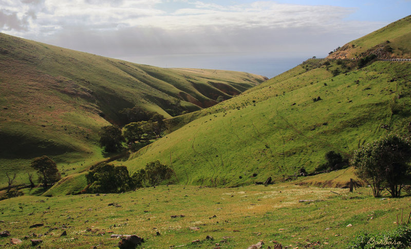 Near Lady Bay