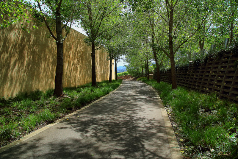 Tarrawarra Estate