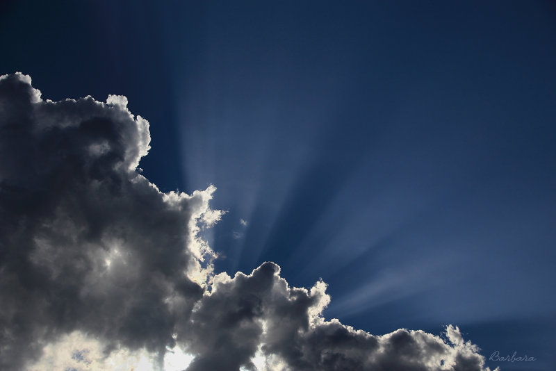 Sunbeams