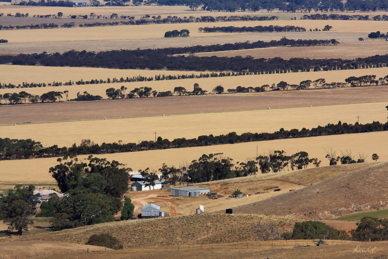 Palmer