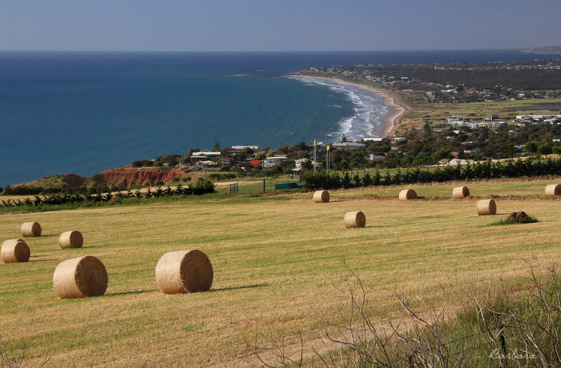 Sellicks Beach