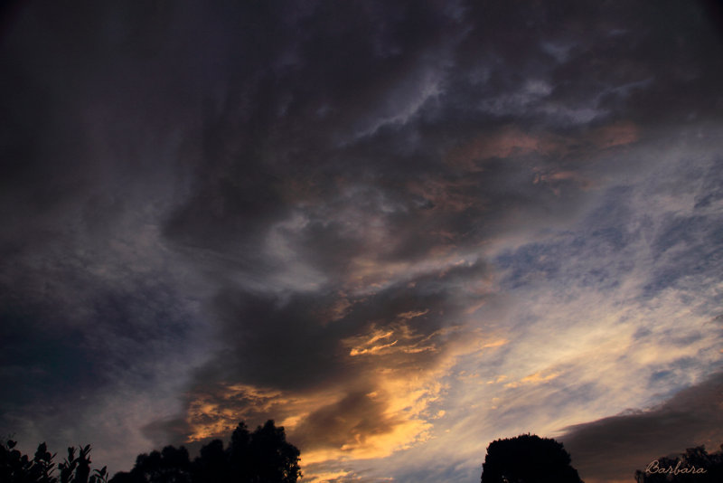 Early morning cloud