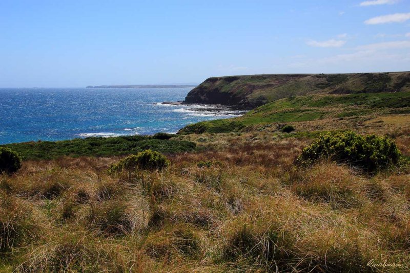 Phillip Island West Coast