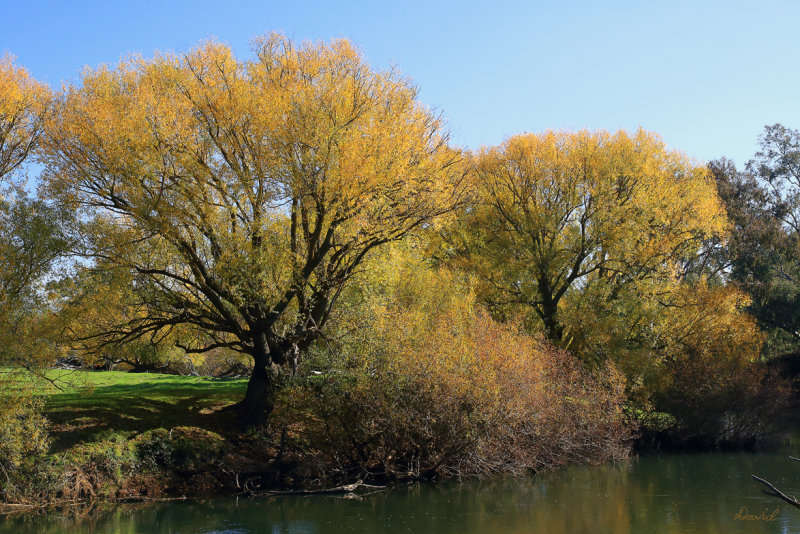 Goulbourn River