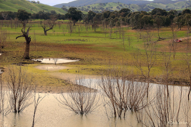 Glen Inlet, Bonnie Doon