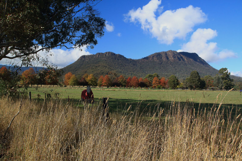 Cathedral Range