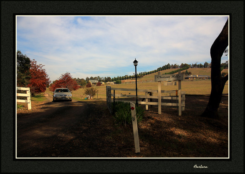 Charan Hills