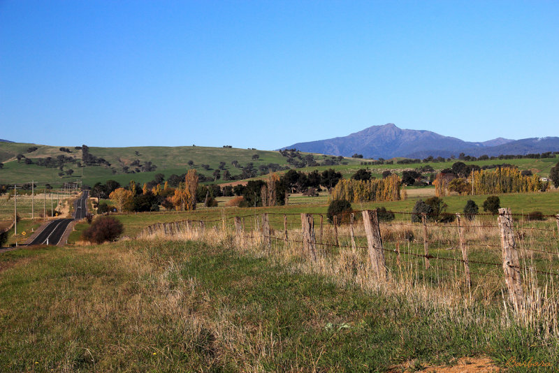 Road to Mt Buller