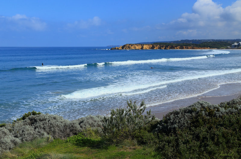 Torquay Surf Beach