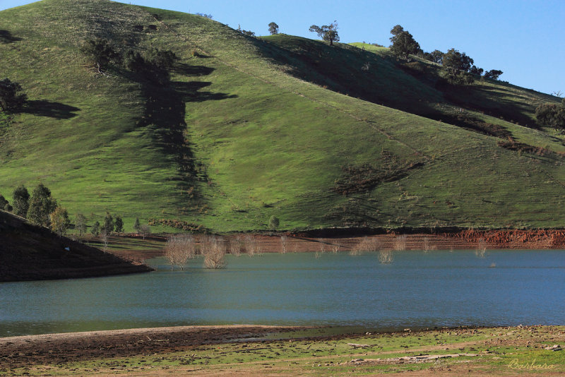 Brankeet Inlet Bonnie Doon
