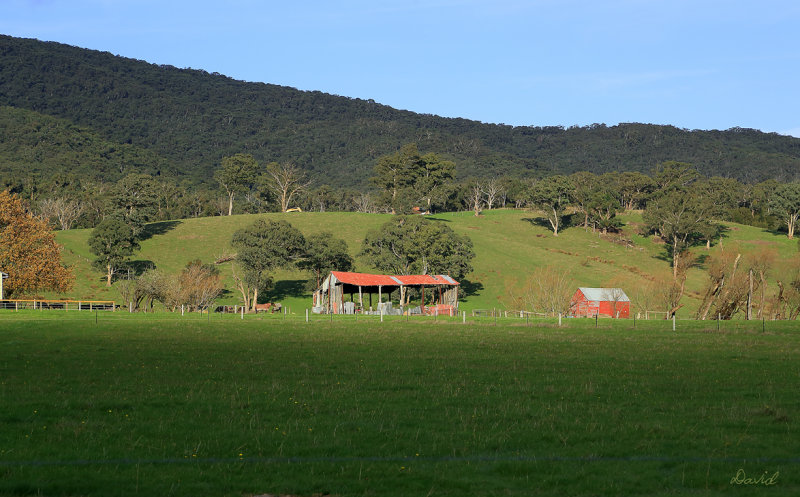 Yarra Valley