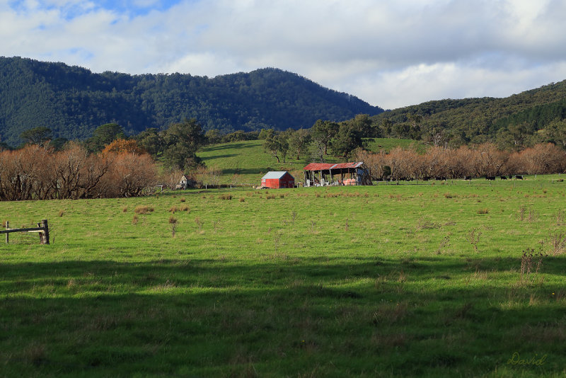 Yarra Valley