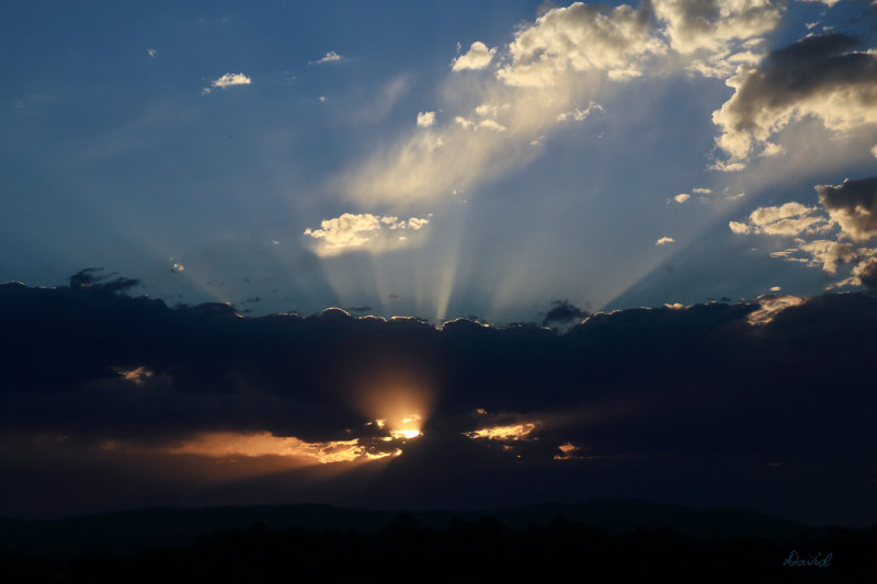 Sun Rays