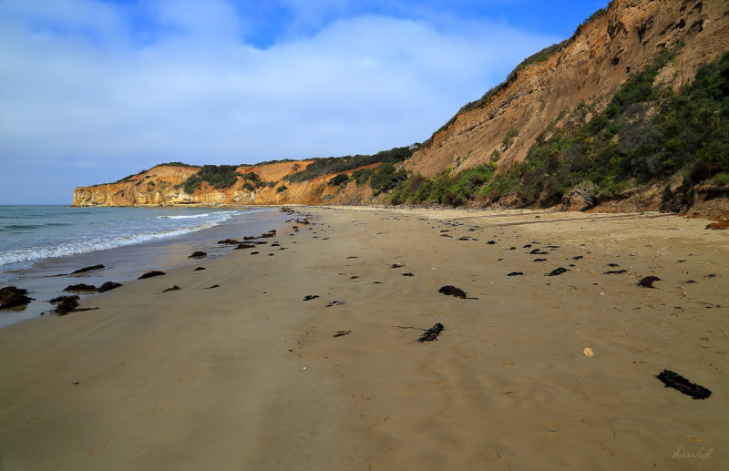 Point Addis