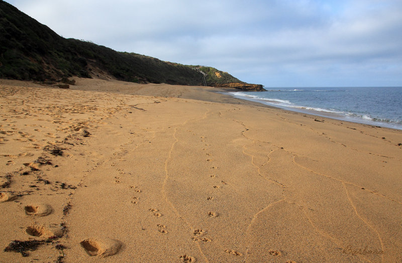Bells Beach