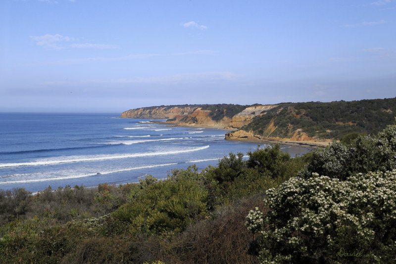 Aireys Inlet 