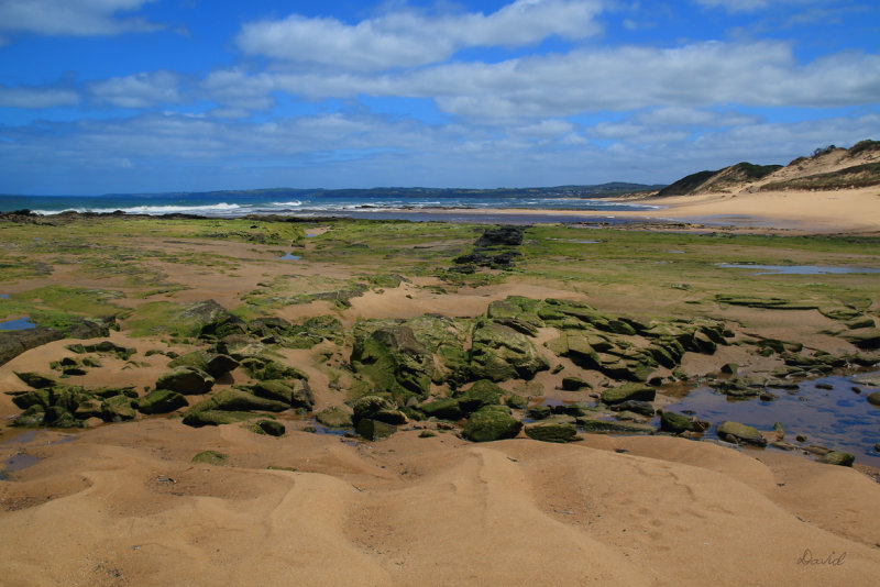 Powlett River Mouth