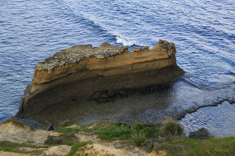 Bird Rock