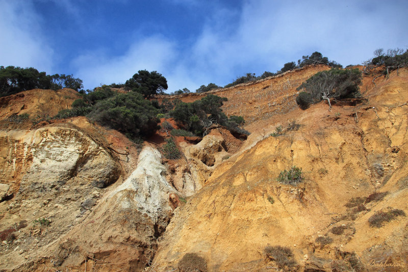 Point Addis