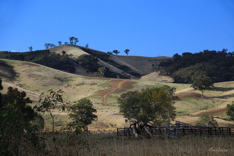 Molesworth
